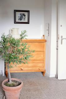 Timber House For Outdoors Fans By Elbe - 1