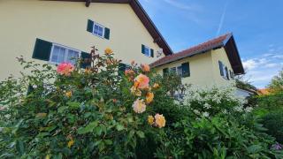 Idyllisches Ferienhäuschen im Allgäu - 3