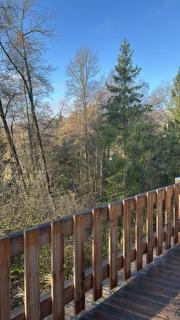 Waldbaden - 3