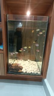 One BHK for short-long term stay! - 2