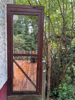 Waldbaden - 7