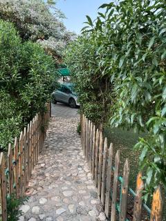 qurtuba farm مزرعة قرطبة - 9