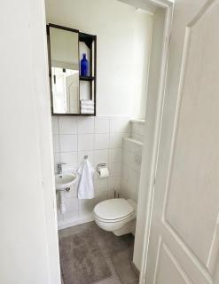 Luxurious apartment in the heart of Budapest - 7