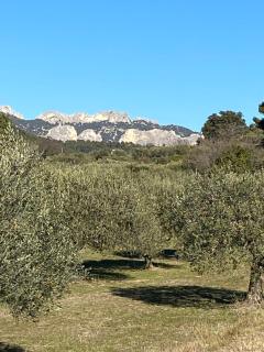 Villa cosy pour 8 Pers avec piscine, dentelles de Montmirail, Ventoux Provence - 7