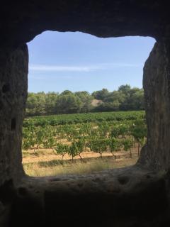 Villa cosy pour 8 Pers avec piscine, dentelles de Montmirail, Ventoux Provence - 9