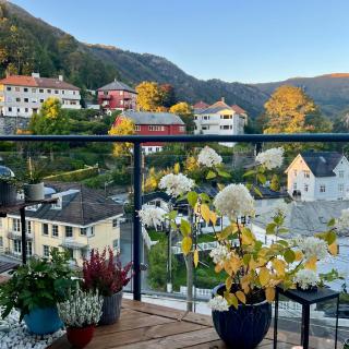 Top floor apartment with mountain view, terrace 22sqm, free parking - 3