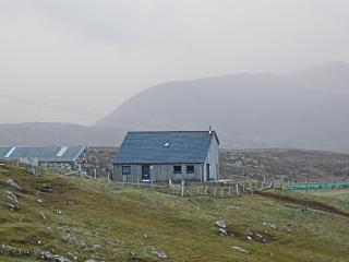 Cottage - 5