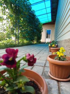 Arzu Guesthouse - 9