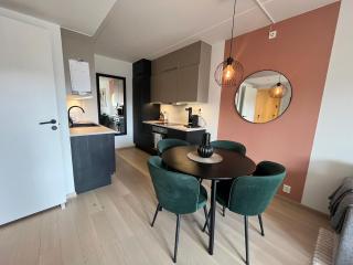 Oslo City Center Apartment - 1