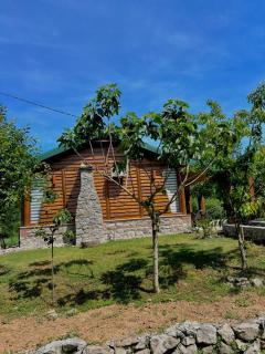 Forest Home 2 - 5