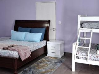 Luxurious Lodge Retreat in Ekurhuleni Johannesburg with Full Accessibility - 8