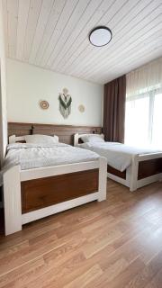 Aerie Eco Villa - 3