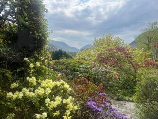 Ghyll Foot - At the foot of Place Fell, Ullswater - 7