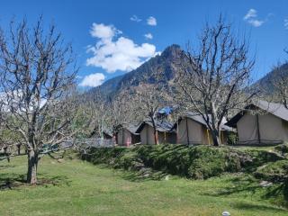 Manali Base Camp & Cafe - 7