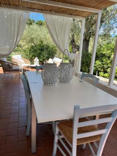 Villa Camelia - 8