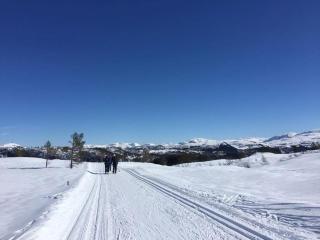 Knuttunet Sunnfjord - 9