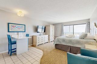 Oceanfront studio suite with amazing views patio & AC - dogs welcome - 8