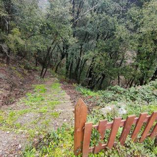 Caravana Vintage El Roserar de Montseny Homestay - 1