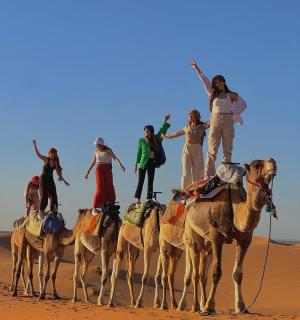 Elite merzouga luxury camp - 5