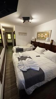 Hotel Roca - 1