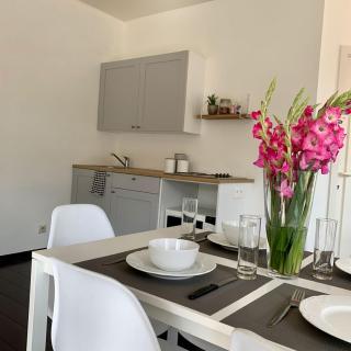 Ruim appartement met zijdelings zeezicht vlak aan de dijk - 5