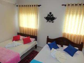Abha Villa - 3
