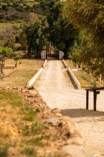 Finca Sta Teresa, Casa Grande - Estepona - 5