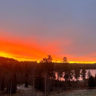 Glamping Double Tent, Lake View, Sauna and Canoes - 1