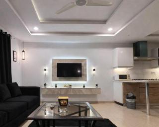 Luxury Apartment In The Heart Of Lahore By Ali - 3