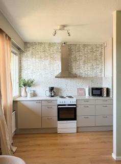 Tyylikäs helmi - Täysin remontoitu keskustayksiö - 5