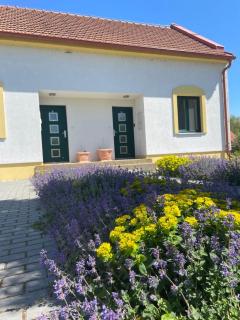 Apartmány Belveder - 6