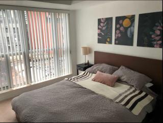 Downtown Toronto Condo - 1