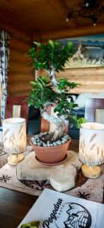 Pogodna Chata, jacuzzi & sauna - 7