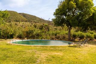 Finca Santa Teresa, Casa La Higuera - 6