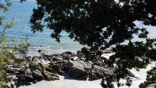 Son da Ria - 9
