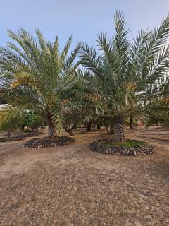 Gulfa farm holiday home - 2