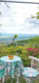 Zurabashvili Guest House - 6