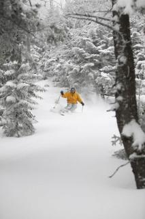 Alpine Condo - Ski In-Out Spacious Condo with Cozy Fireplace - 2