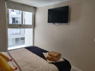 Chic Apartment Santiago Perfect Location - 4