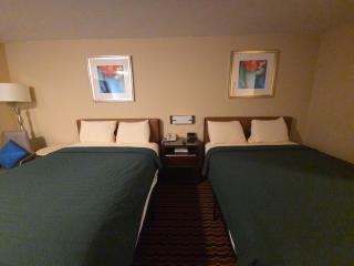 Chesaning INN & Suites - 7