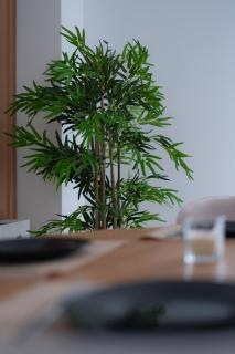 URBAN STAY APARTAMENTS ILOV with private parking - 4