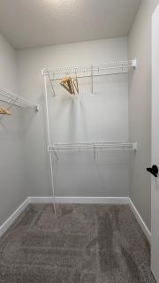 Basement Suite in Creekstone SW Calgary - 1