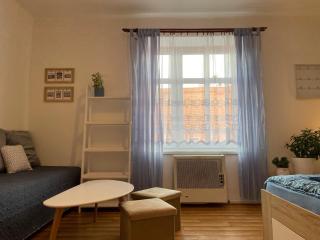 Blue apartment Trutnov - 8
