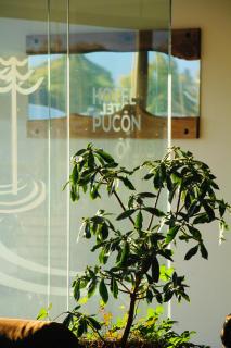 Hotel Pucón Indómito - 1