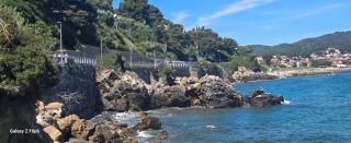 Villa fronte mare con terrazza, spiaggia e piscina - 4
