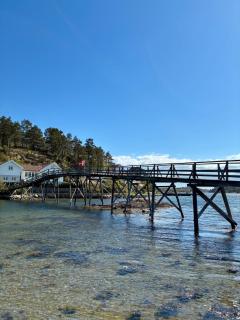 Sunny and quiet family cabin on Marivold with lake view - 5