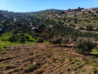 بيت ريفي في عجلون مع مزرعه - 5