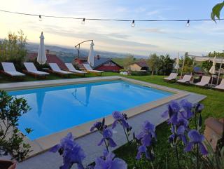 Domus Langhe B&B - 0
