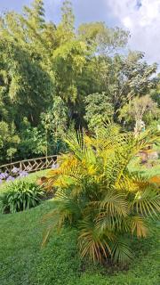 Hospedaje Clemudo - 4