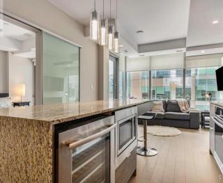 Executive Condo with Parking DT Ottawa - 0